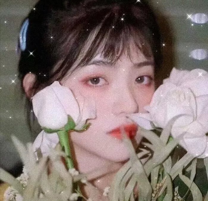 独女君未见第一季