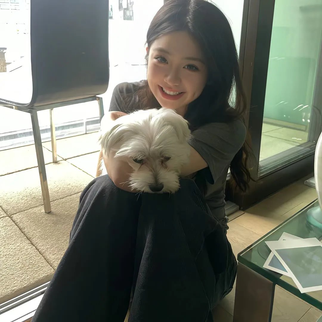 猫娘乐园