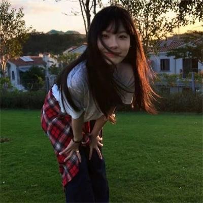 中华熊猫